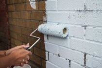 Falaise dans la zone de travail Felenne